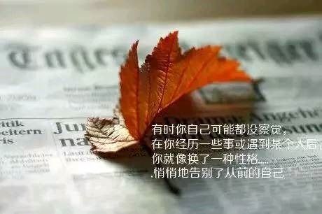 積極向上,句子,能量