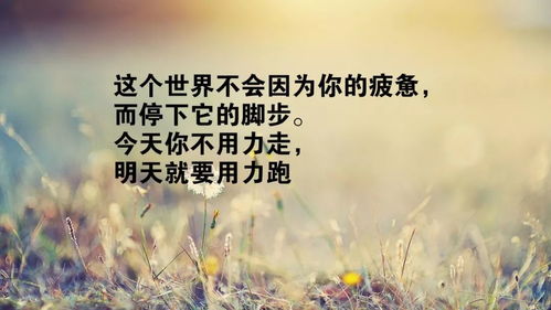 早安,句子,勵志,朋友圈