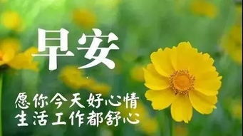 早安溫馨句子正能量