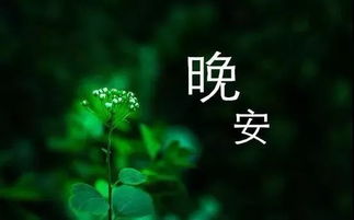 正能量的句子晚上問(wèn)候語(yǔ)
