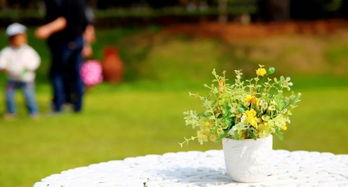 清明節(jié)正能量的句子