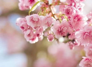 喜歡一個(gè)人正能量的句子大全集