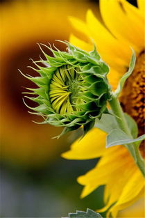 正能量貴于堅持的句子