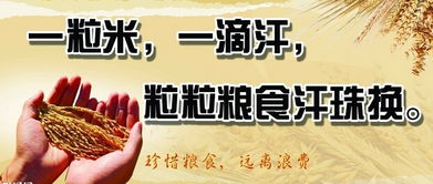 勤儉節(jié)約的經(jīng)典句子,勤儉節(jié)約的勵(lì)志句子,關(guān)于勤儉節(jié)約的好句子