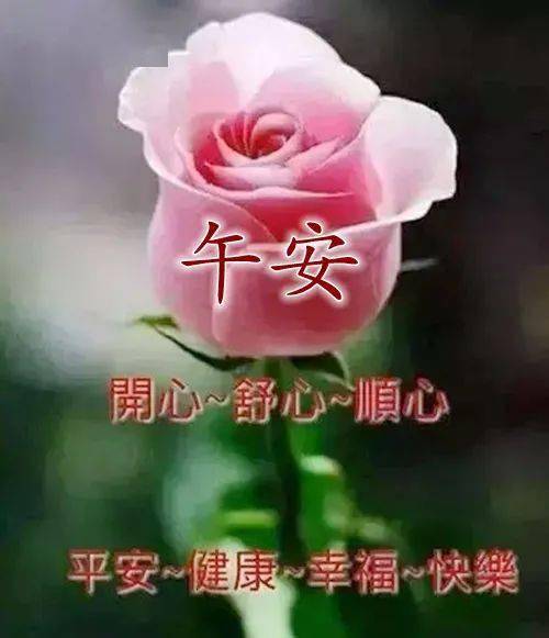 午安正能量句子帶圖