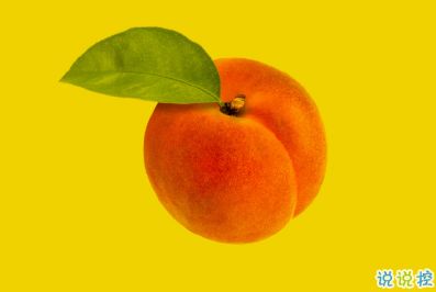 小紅,句子,能量