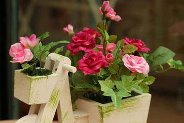 欣賞植物花正能量句子