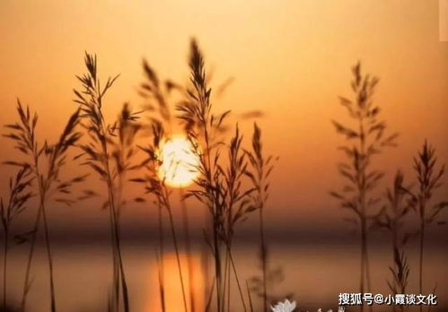 遇到挫折困難正能量句子,遇到挫折時正能量的句子,工作中遇到挫折的正能量文章