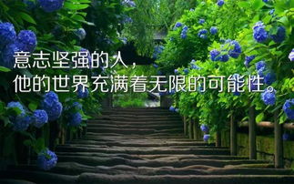 加班工作正能量的勵志句子