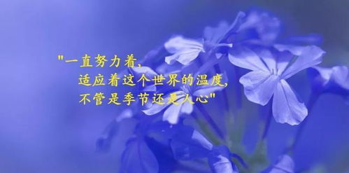 2021最火的的句子正能量