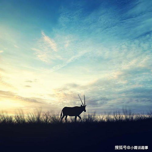 句子,能量,心態(tài),陽光