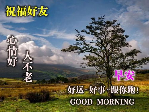 早安,簡(jiǎn)短,句子,能量