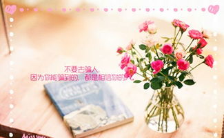 散播正能量的句子