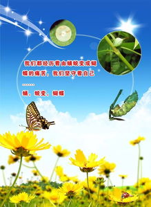 句子,唯美,能量,青春