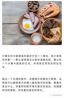 句子,能量,健身,飲食