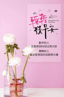 早安感恩正能量的句子帶字