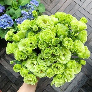 夜晚發(fā)給朋友正能量滿滿的句子