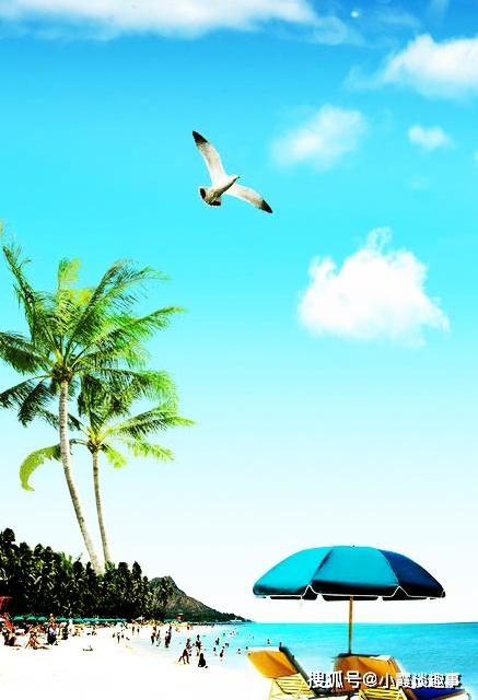 陽光滿滿正能量的句子