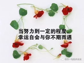 工作心態(tài)正能量句子100字,工作心態(tài)正能量句子勵志,2021工作心態(tài)正能量句子