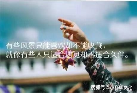 關(guān)于寶媽正能量的句子,觸動(dòng)寶媽正能量心酸的句子,寶媽正能量簡(jiǎn)短的句子