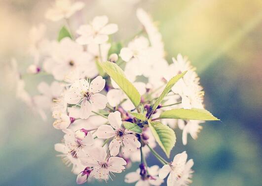 雪后天晴正能量的句子