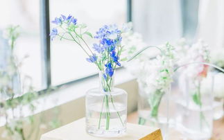 暖心正能量的句子,扎心正能量句子,入心的正能量句子