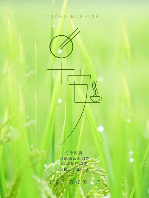 早安,簡短,句子,語錄