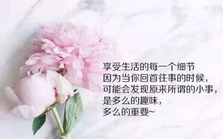 句子,能量,歲月,心情
