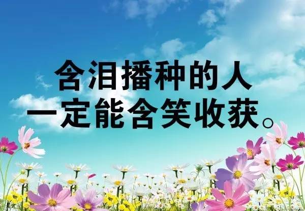 幼兒教師團(tuán)隊(duì)精神正能量的句子,送給幼兒教師正能量的句子,幼兒教師積極向上正能量的句子
