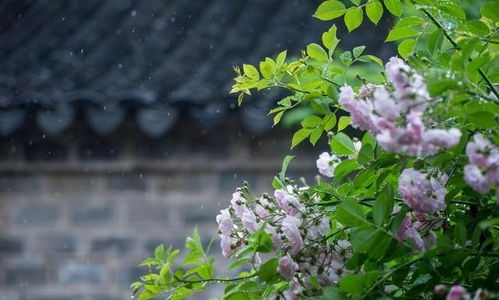 勵志有上進心的正能量句子