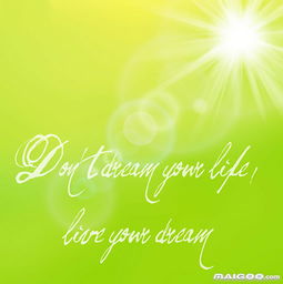 沒有快樂正能量句子