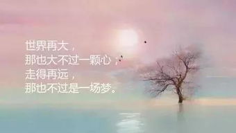 正能量現(xiàn)實(shí)情感勵(lì)志句子