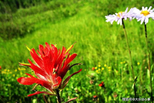 勇于承擔(dān)信任正能量句子