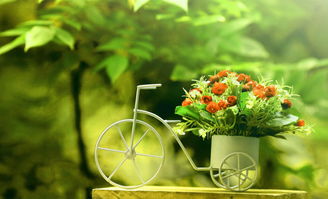 正能量出去玩的句子