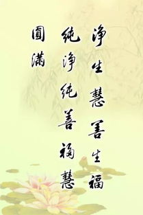 句子,書法,能量,培訓
