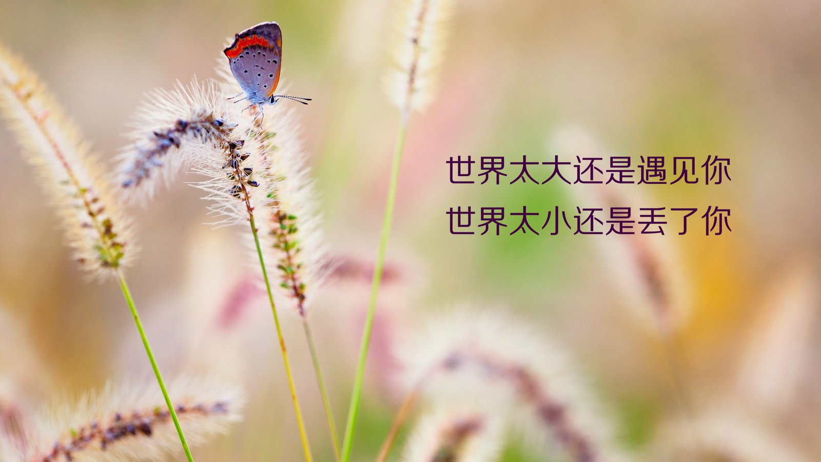 開心正能量的句子說說心情,夫妻正能量句子說說心情,心情好正能量的句子說說心情