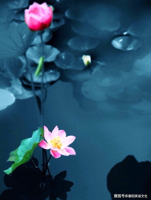 感覺(jué)很幸運(yùn)的正能量的句子