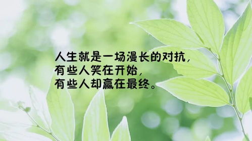 晚安致自己正能量發(fā)圈的句子,正能量發(fā)圈的句子經(jīng)典語句,正能量勵(lì)志發(fā)圈的句子