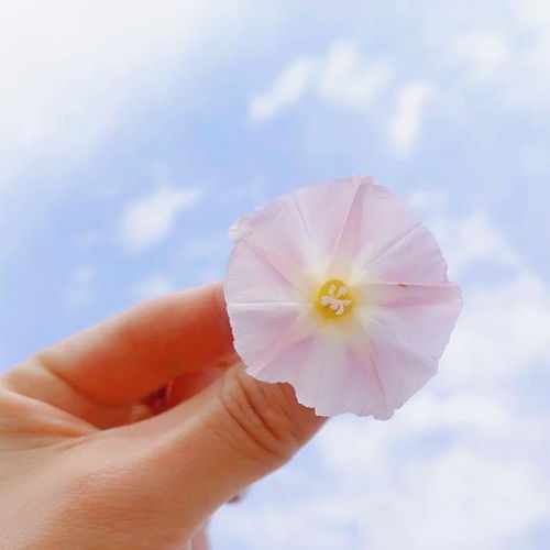 充滿陽光正能量的短句子