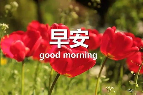 努力的正能量的句子說說心情,努力的句子正能量說說心情短語,努力加油正能量的句子說說心情