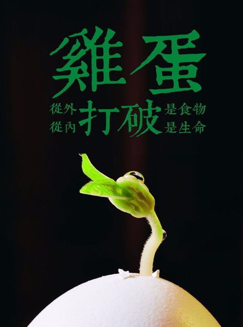 一切都會(huì)好起來正能量的句子