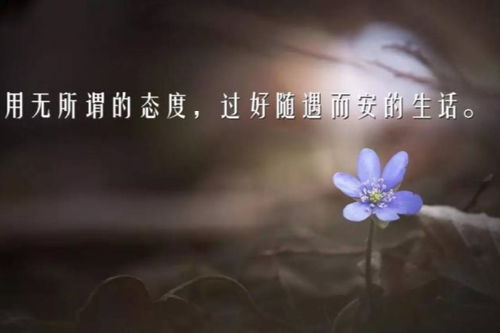 自信正能量的句子,自信陽光正能量的句子,早安自信正能量的句子