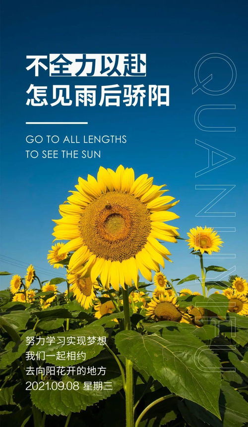 句子,能量,下午,問(wèn)候語(yǔ)