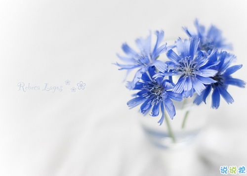 早上問候正能量句子