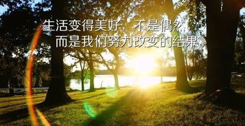 句子,滿滿,能量,早晨