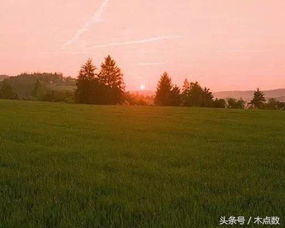 句子能量不念網(wǎng)過往語(yǔ)錄的正