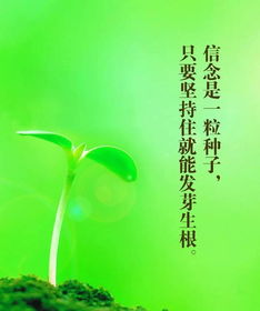 正能量語錄集正能量句子精選早安