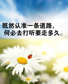 關(guān)于成長正能量句子