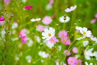 2020激勵(lì)團(tuán)隊(duì)正能量的句子,晚安激勵(lì)正能量的句子,激勵(lì)每天正能量的句子