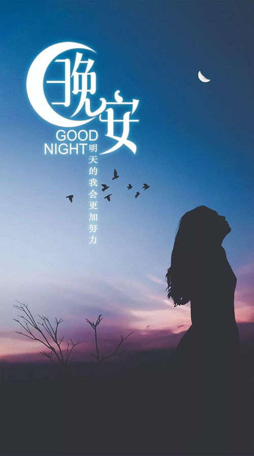 晚安正能量的句子6